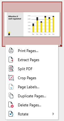 PDF Extra: additional organizer options available via a right mouse click